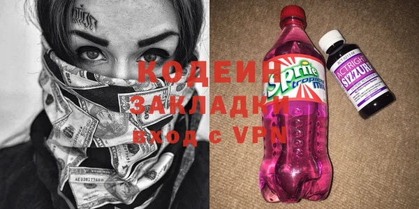 индика Карталы