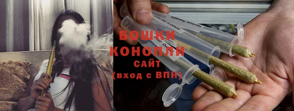 ГАЛЛЮЦИНОГЕННЫЕ ГРИБЫ Касимов