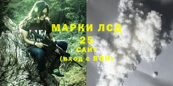 индика Карталы
