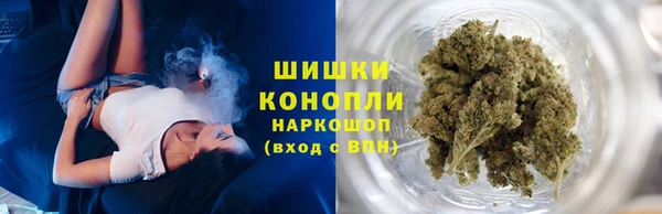 ГАЛЛЮЦИНОГЕННЫЕ ГРИБЫ Касимов