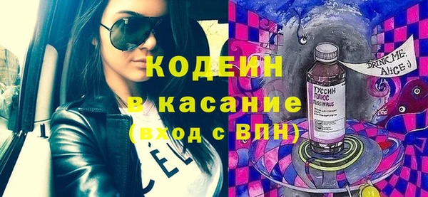 индика Карталы