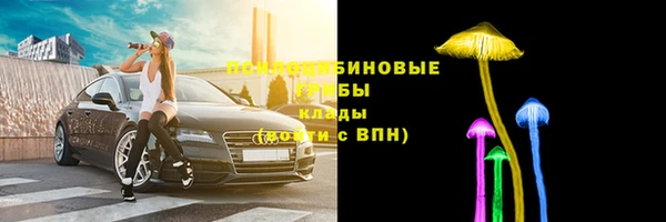СК Карпинск