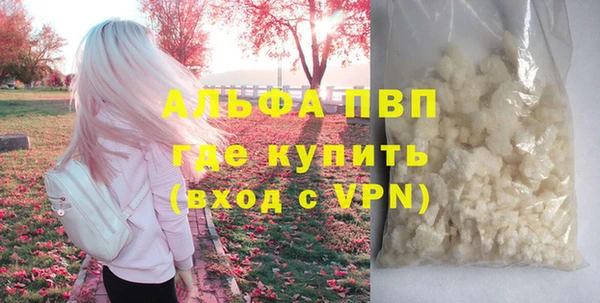 ГАЛЛЮЦИНОГЕННЫЕ ГРИБЫ Касимов