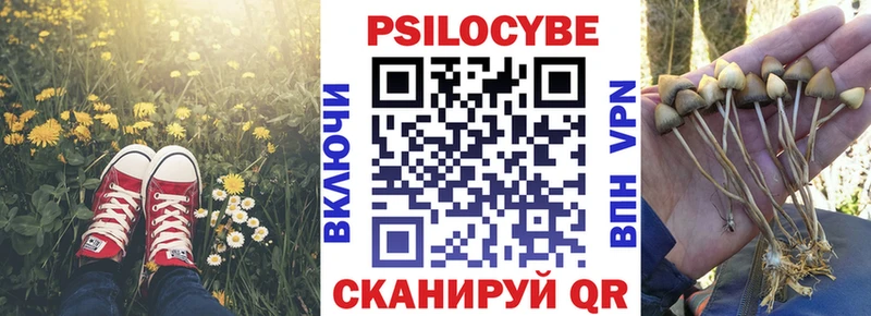 hydra онион  Ужур  Галлюциногенные грибы Psilocybine cubensis 